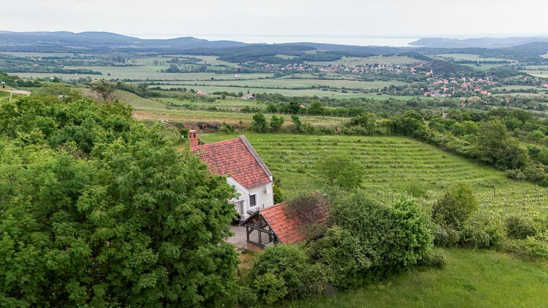 Borospince Vendeghaz Villa Pécsely Exterior foto